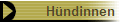 H�ndinnen