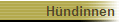 H�ndinnen