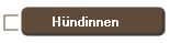 H�ndinnen