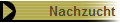 Nachzucht