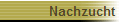 Nachzucht
