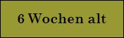 6 Wochen alt