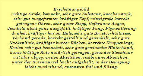 Erscheinungsbild
richtige Gr��e, kompakt, sehr gute Substanz, knochenstark,
sehr gut ausgeformter kr�ftiger Kopf, mittelgro�e korrekt
getragene Ohren, sehr guter Stopp, tiefbraune Augen, 
Jochbein nicht ganz ausgef�llt, kr�ftiger Fang, Pigmentierung
dunkel, kr�ftiger kurzer Hals, sehr gute Brustverh�ltnisse,
Vorhand gerade, korrekt gestellt und gewinkelt, sehr gute 
Nackenlinie, kr�ftiger kurzer R�cken, korrekte Kruppenlage,
Keulen sehr gut bemuskelt, sehr gute gewinkelte Hinterhand,
kurze kr�ftige Rute nat�rlich getragen, gesundes Stockhaar
mit klar abgegrenzten Abzeichen, rostbraune Abzeichen, 
unter der Rutenwurzel leicht aufgehellt, in der Bewegung 
leicht ausdrehend, ansonsten frei und fl�ssig.