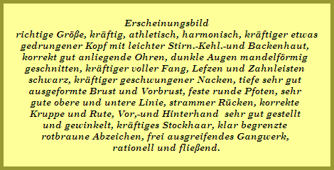 Erscheinungsbild
richtige Gr��e, kr�ftig, athletisch, harmonisch, kr�ftiger etwas
gedrungener Kopf mit leichter Stirn.-Kehl.-und Backenhaut, 
korrekt gut anliegende Ohren, dunkle Augen mandelf�rmig 
geschnitten, kr�ftiger voller Fang, Lefzen und Zahnleisten 
schwarz, kr�ftiger geschwungener Nacken, tiefe sehr gut 
ausgeformte Brust und Vorbrust, feste runde Pfoten, sehr 
gute obere und untere Linie, strammer R�cken, korrekte 
Kruppe und Rute, Vor,-und Hinterhand  sehr gut gestellt 
und gewinkelt, kr�ftiges Stockhaar, klar begrenzte 
rotbraune Abzeichen, frei ausgreifendes Gangwerk, 
rationell und flie�end.