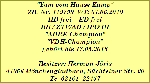 Reni vom Goldenen Stern
ZB.-Nr. 111597
HD-frei / ED frei
BH/ZTP/VPG I
