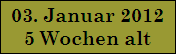 03. Januar 2012
5 Wochen alt