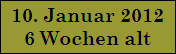 10. Januar 2012
6 Wochen alt